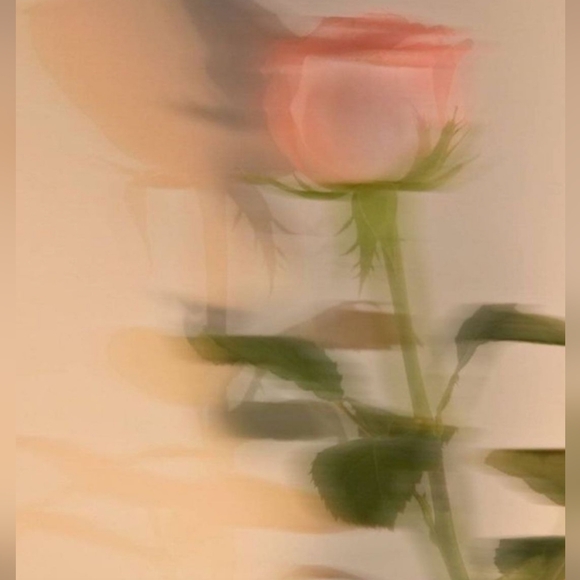 ❣️ MEET YOUR POSHER - Cindy - Picture 10 of 11